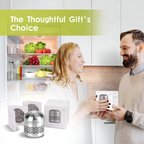 Daluci Refrigerator Deodorizer